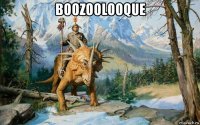 boozoolooque 