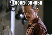 человек свинья 