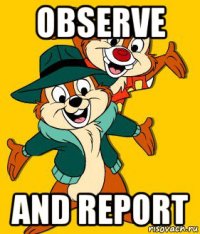 observe and report