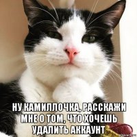  ну камиллочка, расскажи мне о том, что хочешь удалить аккаунт