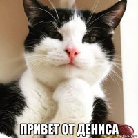  привет от дениса