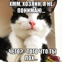 хмм, хозяин, я не понимаю... - чего? - того что ты лох...