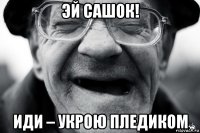 эй сашок! иди – укрою пледиком