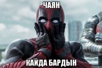 чаян кайда бардын