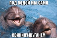 под водой мы сами свинину шуганем