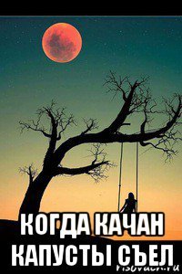  когда качан капусты съел