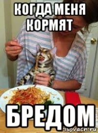 когда меня кормят бредом