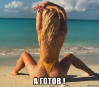  а готов !