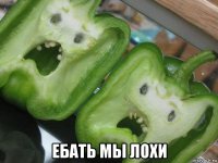  ебать мы лохи