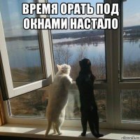 время орать под окнами настало 