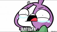 # алгебра