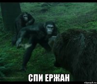  спи ержан