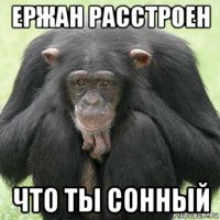 ержан расстроен что ты сонный