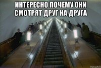 интересно почему они смотрят друг на друга 