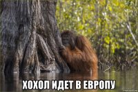  хохол идет в европу
