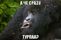а че сразу турпаа?