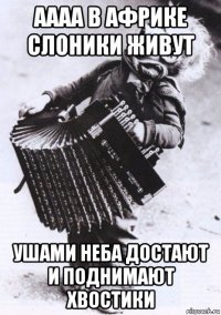 аааа в африке слоники живут ушами неба достают и поднимают хвостики