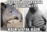 – гнусавый, когда рак на горе свистнет? – ждём, братан, ждём...