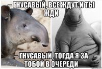 – гнусавый, все ждут и ты жди – гнусавый, тогда я за тобой в очереди