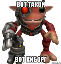 вот такой вот киборг