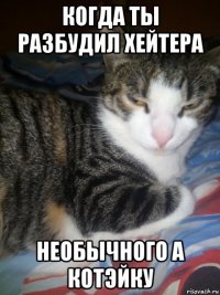 когда ты разбудил хейтера необычного а котэйку