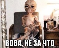  вова, не за что