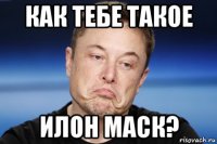 как тебе такое илон маск?