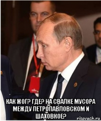  как жог? где? на свалке мусора между петропавловском и шаховкое?