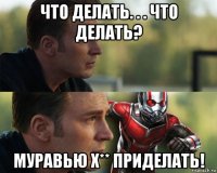 что делать. . . что делать? муравью х** приделать!