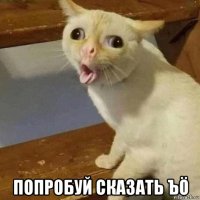  попробуй сказать ъö