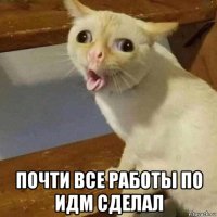  почти все работы по идм сделал