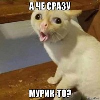 а че сразу мурик-то?