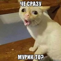 че сразу мурик-то?