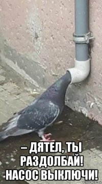 – дятел, ты раздолбай! насос выключи!