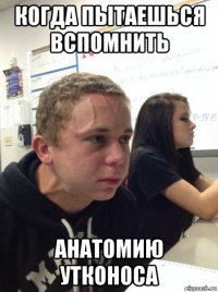 когда пытаешься вспомнить анатомию утконоса