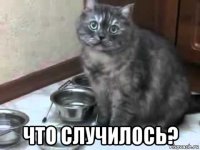  что случилось?