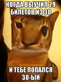 когда выучил 29 билетов из 30 и тебе попался 30-ый