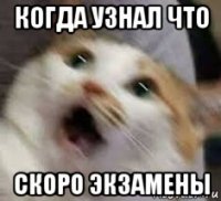 когда узнал что скоро экзамены