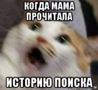 когда мама прочитала историю поиска