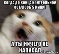 когда до конца контрольной осталось 5 минут а ты ничего не написал