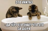 это унитаз - да чёрт его знает что это за дыра