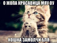 о жопа красавица мяу оу кошка замолчи бля