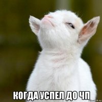  когда успел до чп