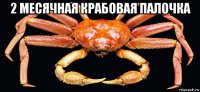2 месячная крабовая палочка 