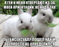 я гей и меня отвергают из-за моей ориентации, не надо так ты бисексуал? пошел нах*й, ты просто не определился