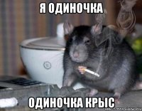 я одиночка одиночка крыс