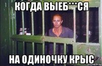 когда выеб***ся на одиночку крыс