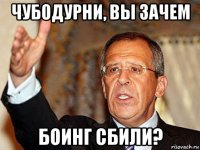 чубодурни, вы зачем боинг сбили?