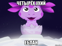 четырёх ухий еблан