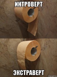 интроверт экстраверт